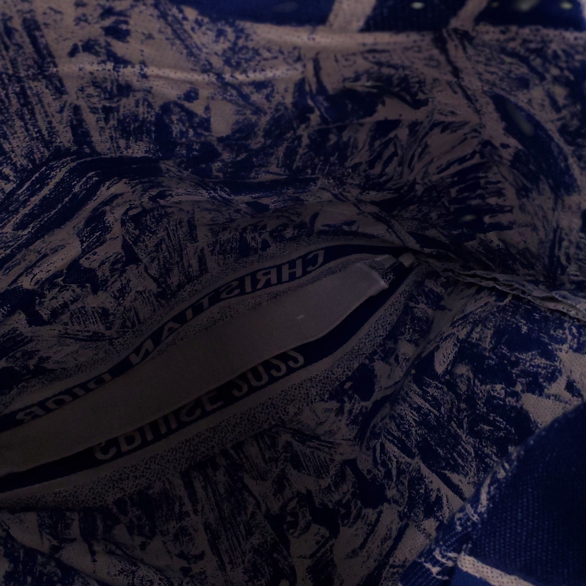 CHRISTIAN DIOR ‘CRUISE 2022’ TOTE BAG