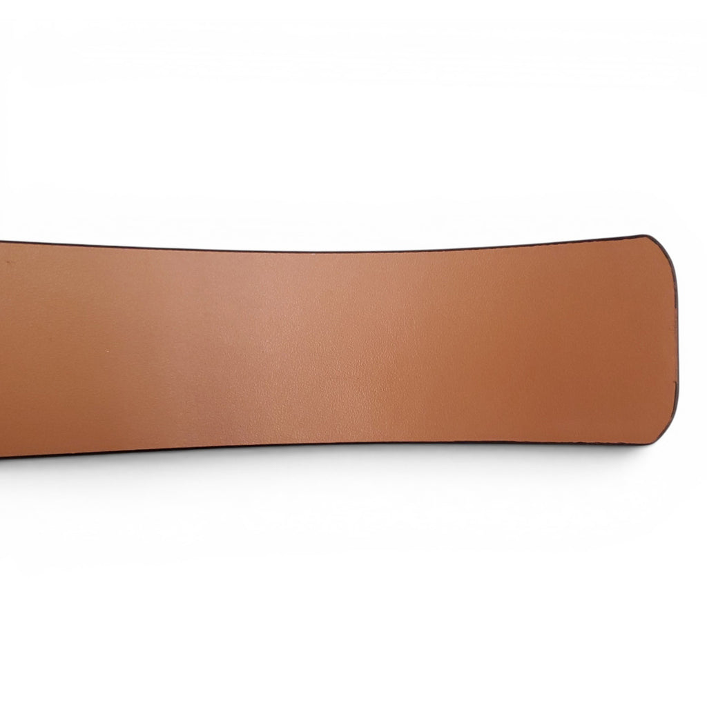 LOEWE SUEDE BELT WITH GOLD BUCKLE - SIZE 75