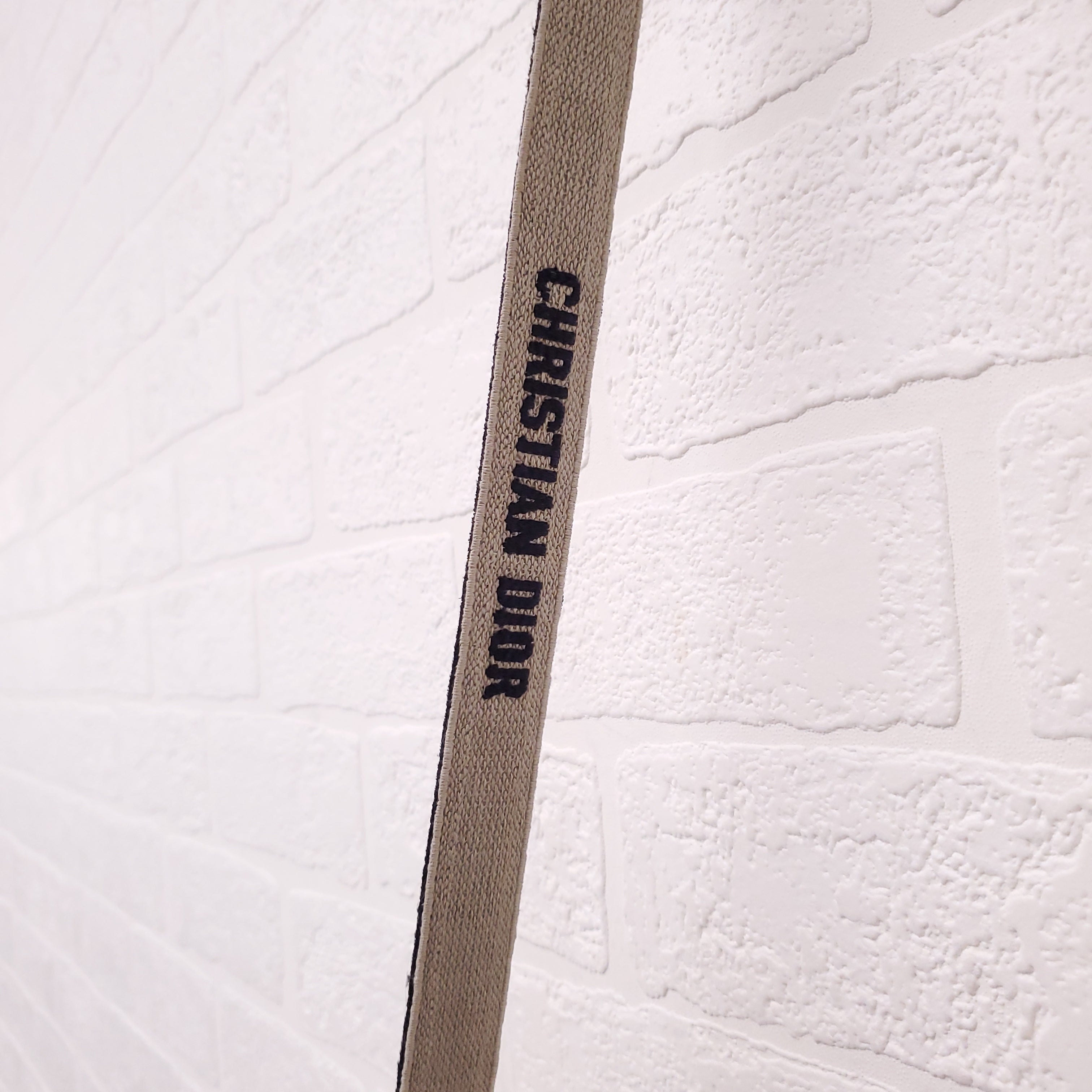 DIOR OBLIQUE MESSENGER BAG