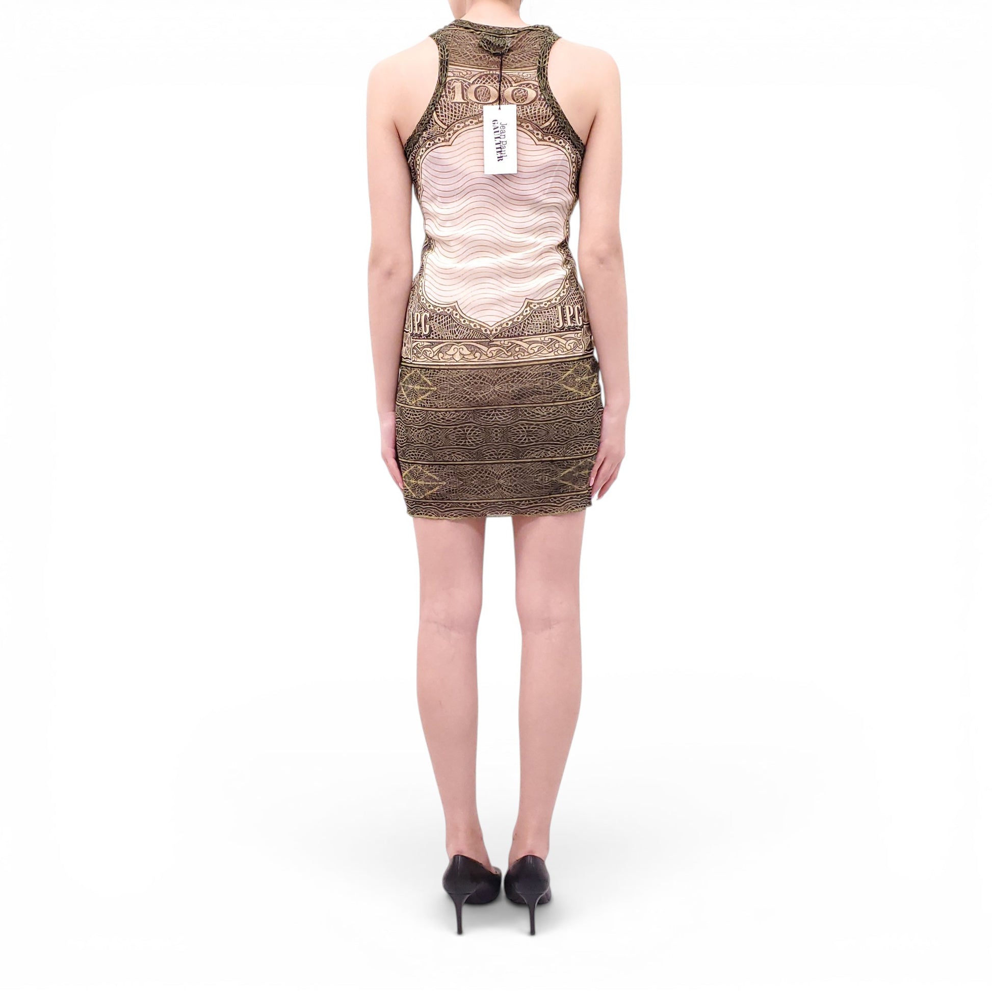 mesh money dress Purple and blue money print mesh bodycon dress -