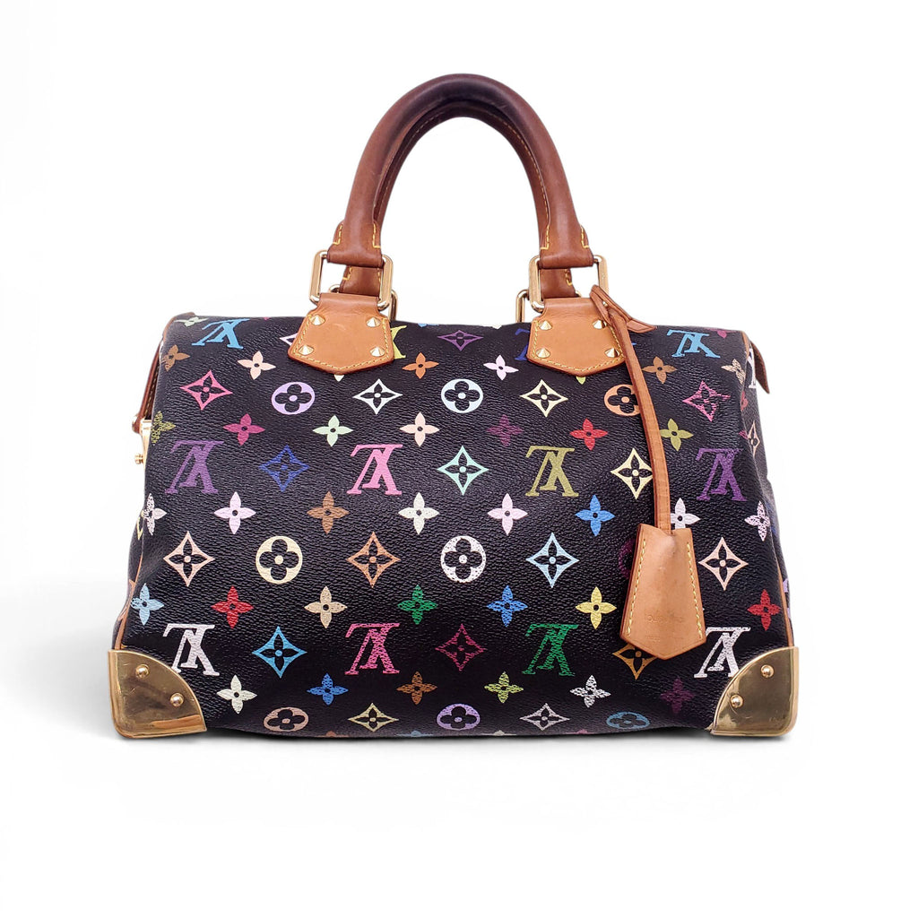 LOUIS VUITTON MULTICOLOURED SPEEDY BAG