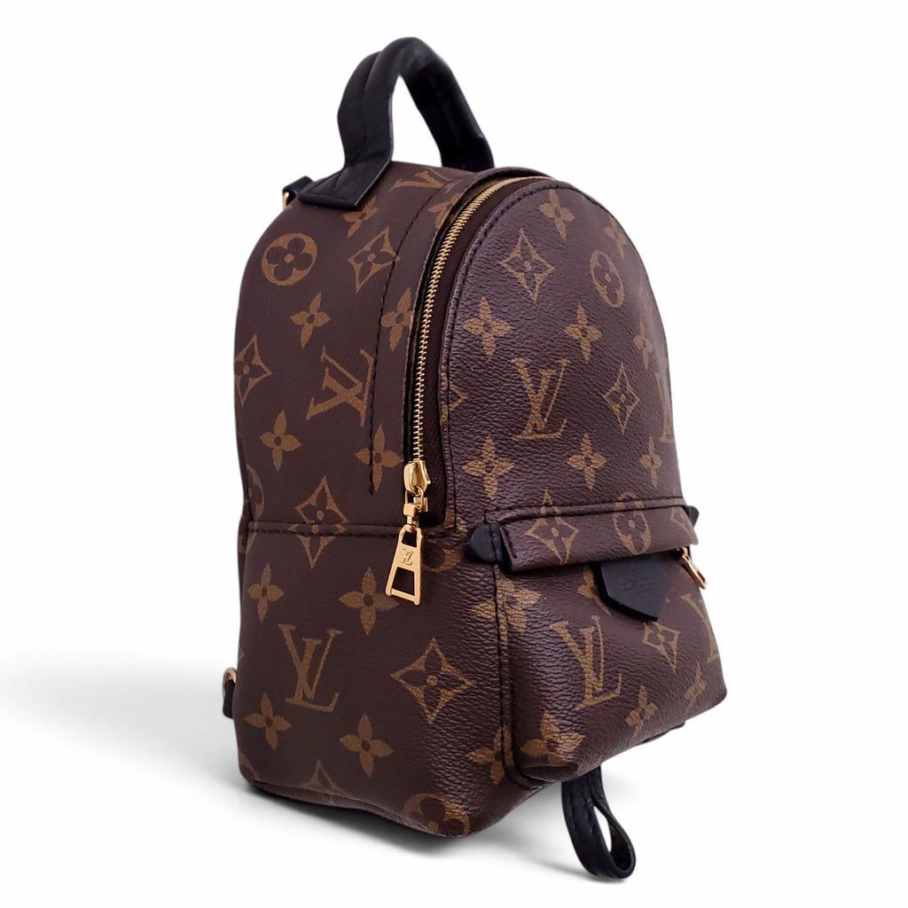 LOUIS VUITTON PALM SPRING BACKPACK