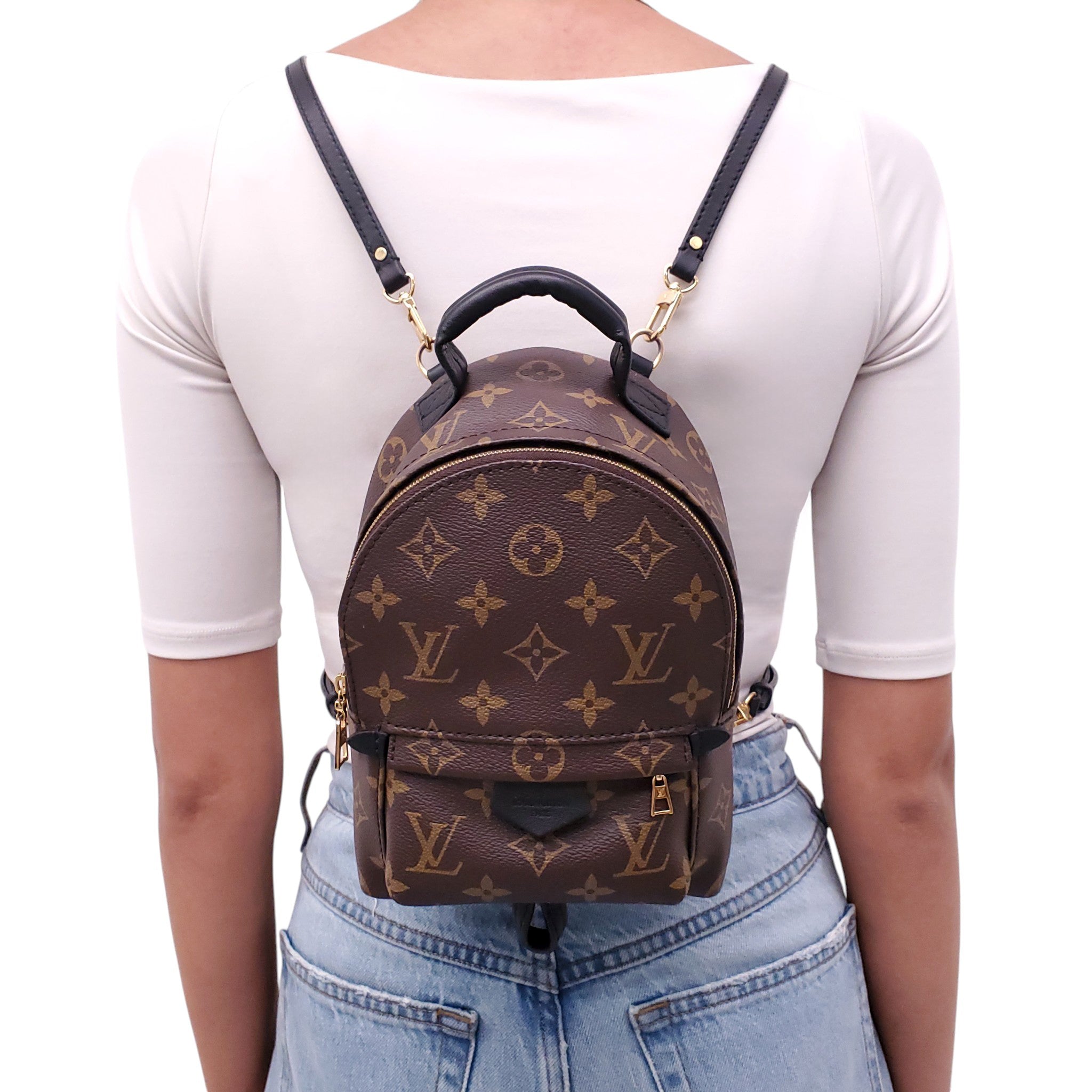 LOUIS VUITTON PALM SPRING BACKPACK