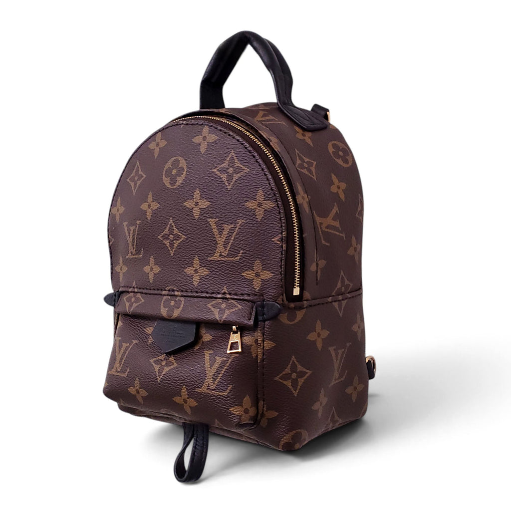 LOUIS VUITTON PALM SPRING BACKPACK