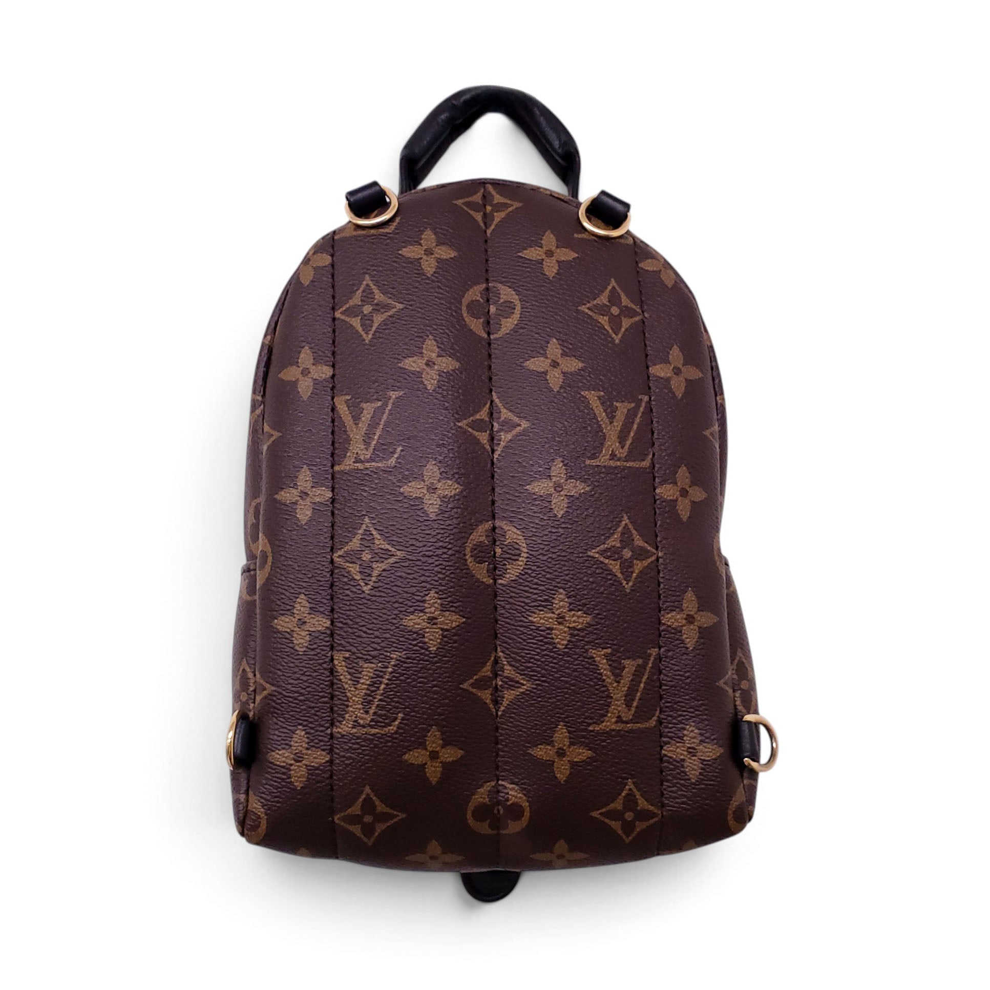 LOUIS VUITTON PALM SPRING BACKPACK