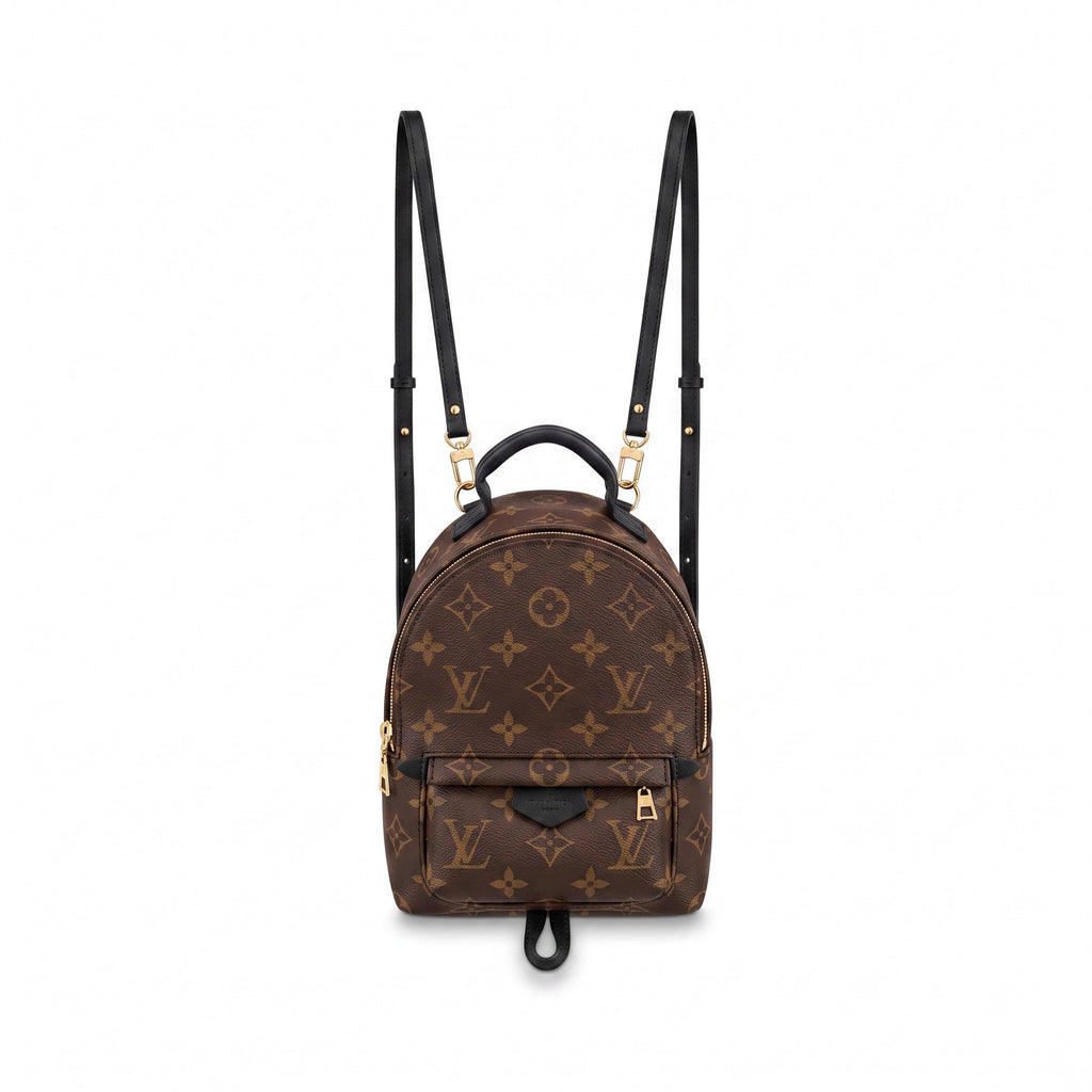 LOUIS VUITTON PALM SPRING BACKPACK